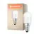 Ledvance Special LED E14 Rura one-handed Matowy 2.3W 200lm - 865 Światło dzienne | Zamienne 20W