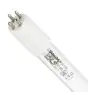 Philips T5 UV - C HO 145W - Ultrafioletowy | 155cm - 4 - Pin - UNP