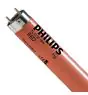 Philips MASTER TL-D 18W - Czerwony | 60cm