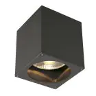 SLV Big Theo Sufit Spot Aluminium Antracyt | Zewnętrzna - IP44 - Nadaje Się Do 1x GU10 Max. 75W - Ściemnianie