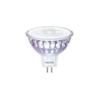 Philips Master Value LED Spot GU5.3 MR16 7.5W 660lm 36D - 940 Zimna Biel | Najlepsze renderowanie kolorów - Ściemnianie - Zamienne 50W